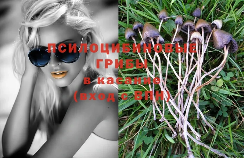 Псилоцибиновые грибы Magic Shrooms  Калачинск 